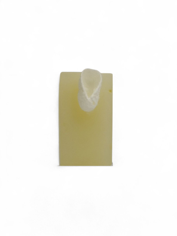 🧼صابون پیله ابریشم – جوانسازی پوست